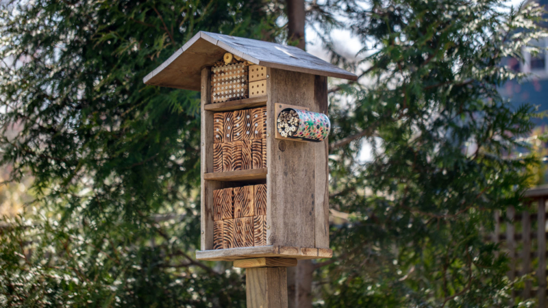 El hotel de insectos creado por Colin Purington